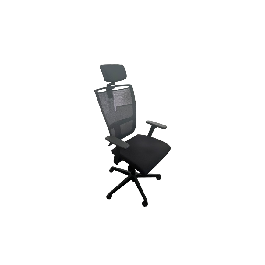Fauteuil Ergonomique