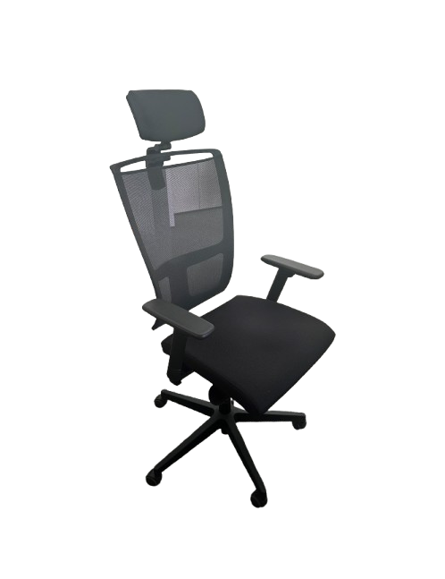 Fauteuil Ergonomique