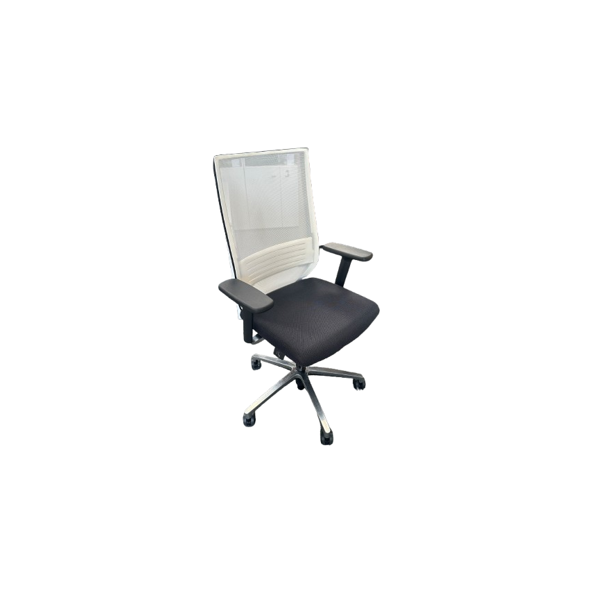 Fauteuil ergonomique Forma 5