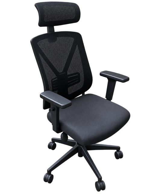 Fauteuil Ergonomique