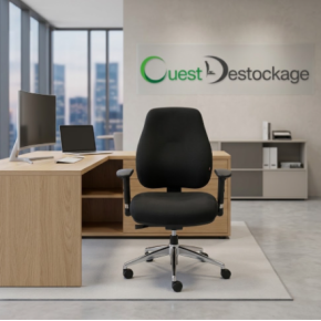 fauteuil de bureau ergonomique