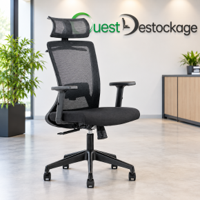 Fauteuil ergonomique Faro