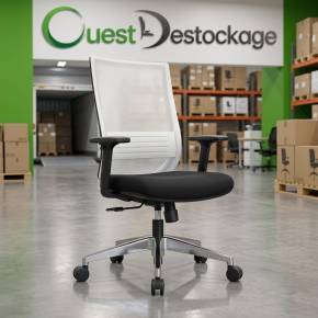 Fauteuil ergonomique Forma 5